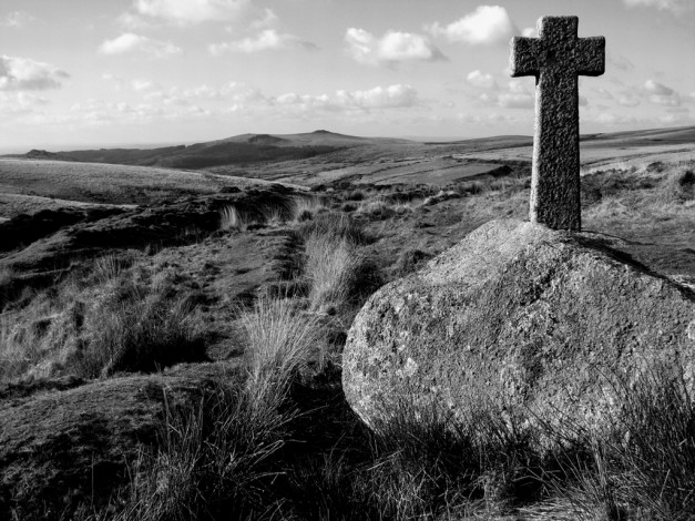 Обои картинки фото разное