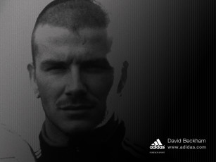 Картинка бренды adidas