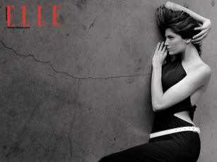 Картинка бренды elle