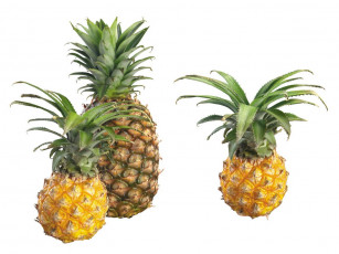 Картинка еда ананас