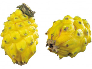 Картинка еда питахайя