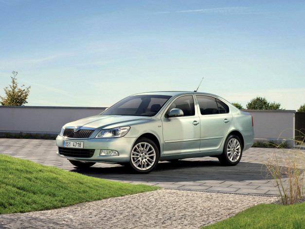 Обои картинки фото автомобили, skoda