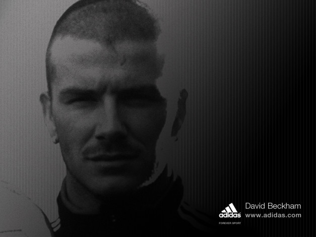 Обои картинки фото бренды, adidas