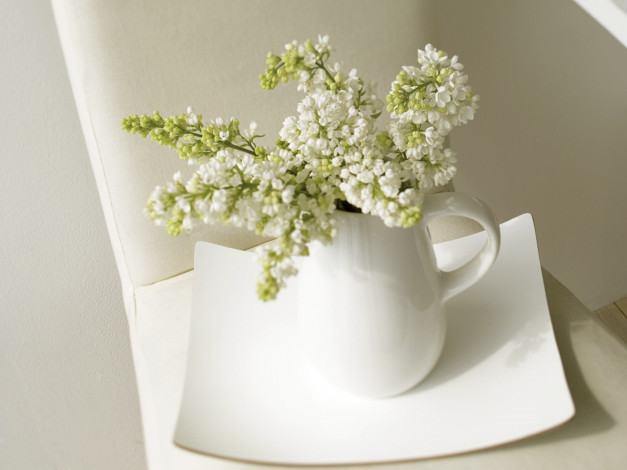 Обои картинки фото цветы, сирень