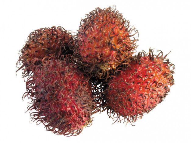 Обои картинки фото еда, рамбутан