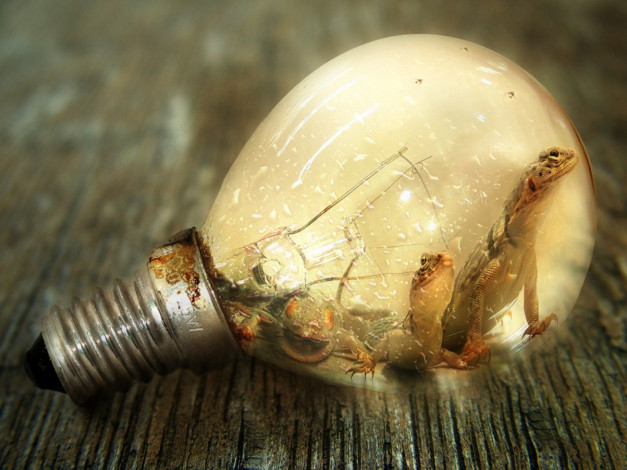 Обои картинки фото разное, компьютерный, дизайн