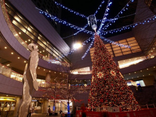 Картинка праздничные Ёлки