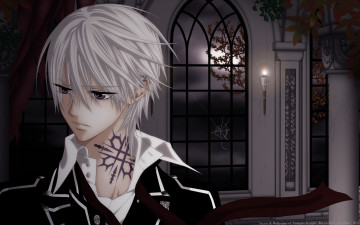 Картинка аниме vampire knight