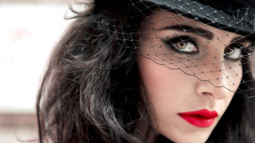 Картинка sila музыка