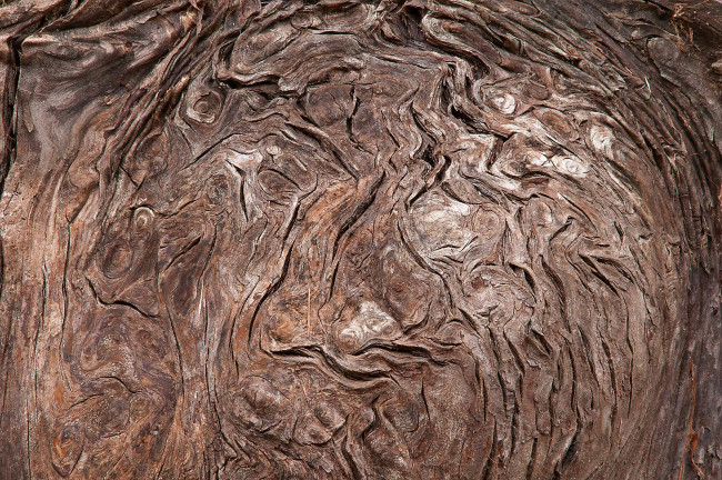 Обои картинки фото разное, текстуры, кора, дерево