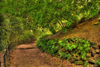 Картинка природа дороги тропинка изгородь склон деревья трава