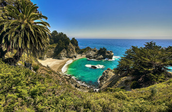 Картинка природа побережье растительность плж бухта океан