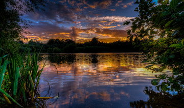 Картинка природа реки озера зарево осока озеро вече