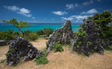 Картинка природа побережье растительность камни берег океан