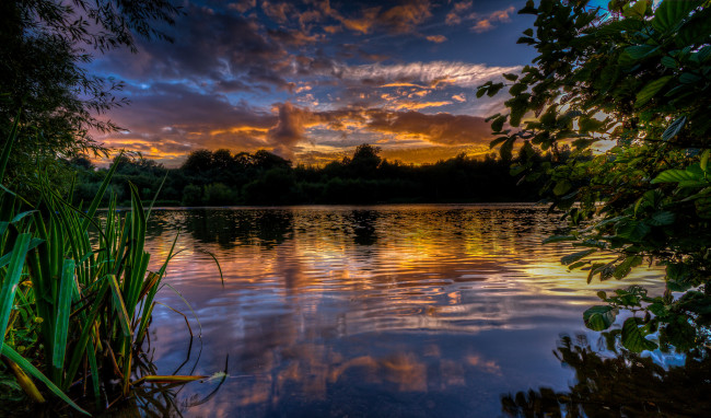 Обои картинки фото природа, реки, озера, зарево, осока, озеро, вече