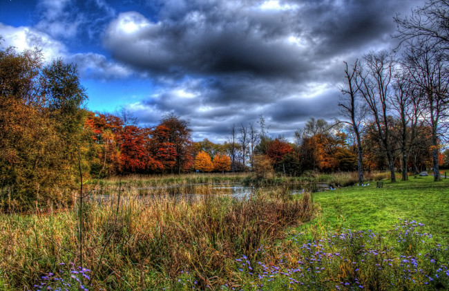 Обои картинки фото природа, реки, озера, лес, цветы, осель, трава, озеро, тучи