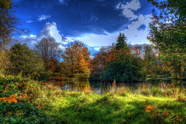 Обои картинки фото природа, лес, трава, озеро, осель