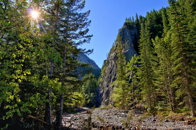 Обои картинки фото природа, восходы, закаты, солнце, лес, горы