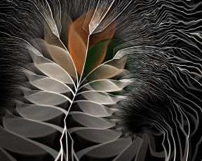 Картинка 3д+графика фракталы+ fractal цвета фон узор