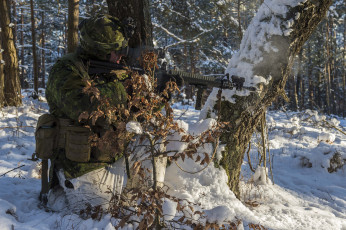 Картинка оружие армия спецназ солдат canadian army