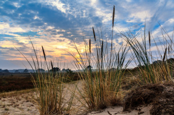 Картинка природа восходы закаты рассвет