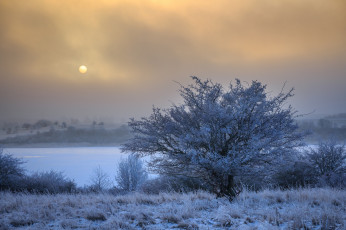 Картинка природа зима снег