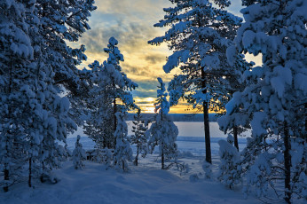 Картинка природа зима снег