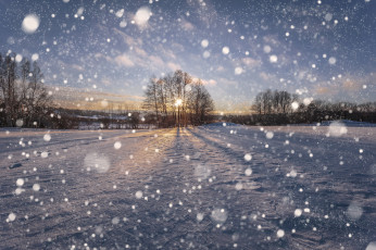 Картинка природа зима снег