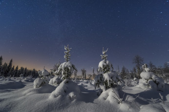 Картинка природа зима снег