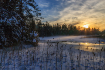 Картинка природа зима снег