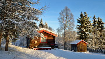 Картинка природа зима снег