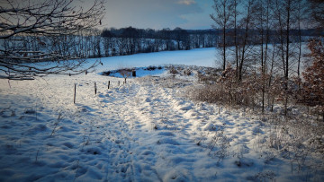 Картинка природа зима снег