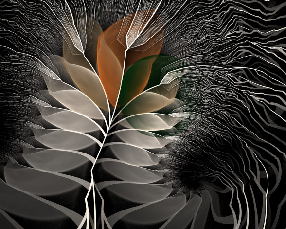 Обои картинки фото 3д графика, фракталы , fractal, цвета, фон, узор