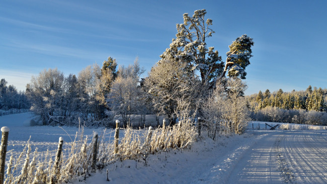 Обои картинки фото природа, зима, снег