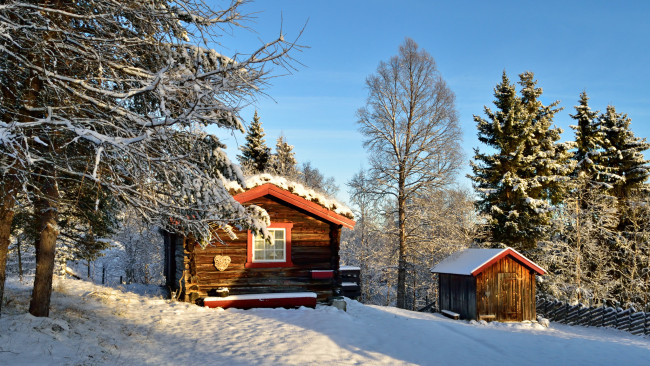 Обои картинки фото природа, зима, снег