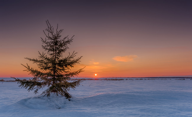 Обои картинки фото природа, зима, снег