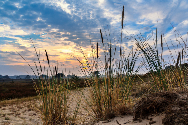 Обои картинки фото природа, восходы, закаты, рассвет