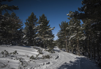 Картинка природа зима снег