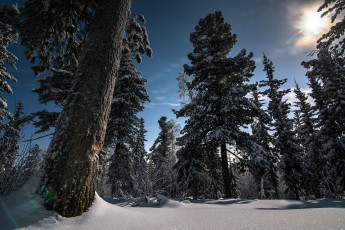 Картинка природа зима снег