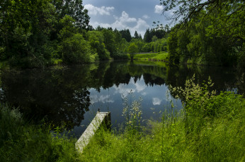 Картинка природа реки озера лес река