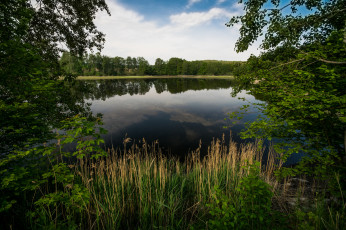 Картинка природа реки озера лес река