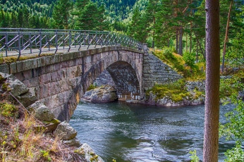 Картинка природа реки озера лес река