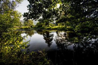 Картинка природа реки озера лес река