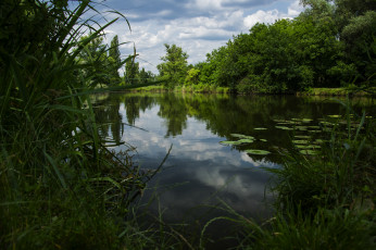 Картинка природа реки озера река лес