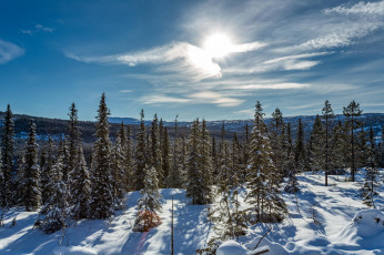 Картинка природа зима снег