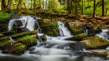 Картинка природа реки озера лес река