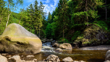 Картинка природа реки озера лес река