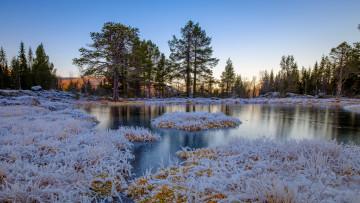 Картинка природа реки озера лес река