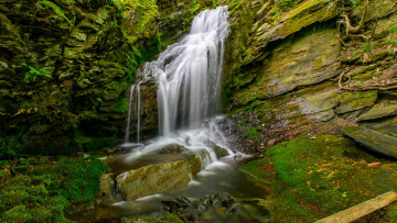 Картинка природа водопады лес река водопад