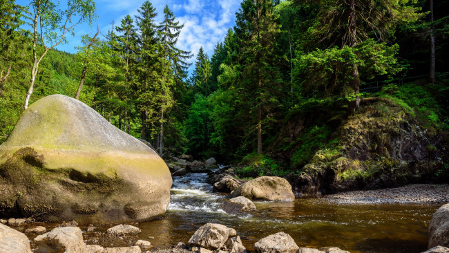 Обои картинки фото природа, реки, озера, лес, река